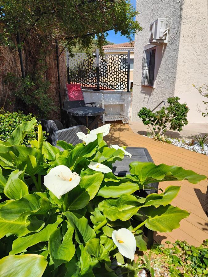 Petite Etoile De Mer - Studio Hyper Equipe A 150M D'Une Plage De Sable Fin Grande Terrasse Presqu'Ile De Charme Saint-Mandrier-sur-Mer Εξωτερικό φωτογραφία